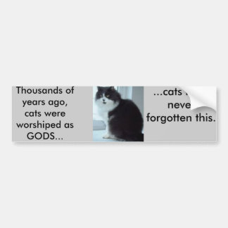 Cats have good memories bumper sticker