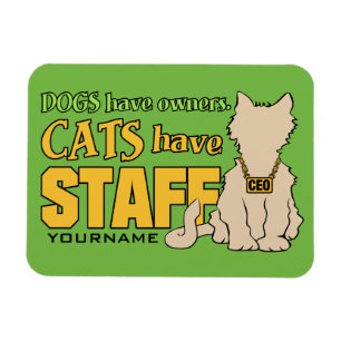CATS HAVE STAFF custom magnet