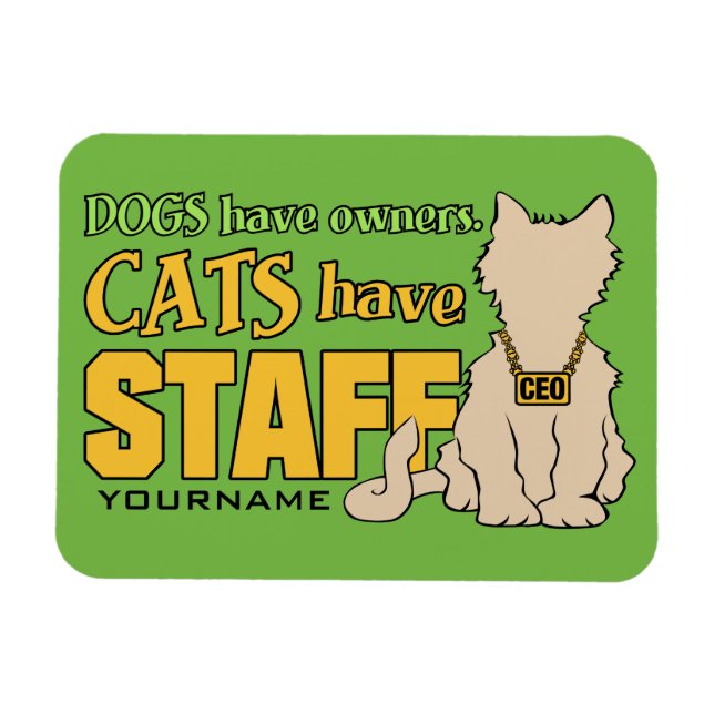 CATS HAVE STAFF custom magnet (Horizontal)