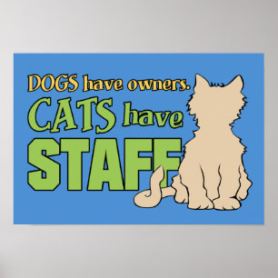 CATS HAVE STAFF custom poster