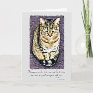 Cats have touched your soul Pet Sympathy Card