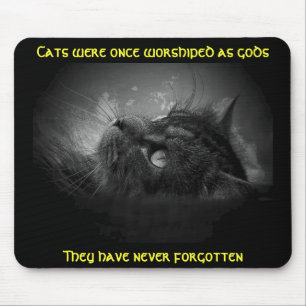 Cats haven't forgotten Meme Mouse Mat