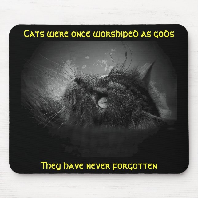 Cats haven't forgotten Meme Mouse Mat (Front)