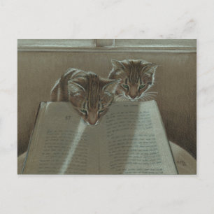 Cats helping me read book postcard