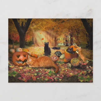 Cats in Autumn Postcard