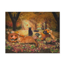 Cats in Autumn