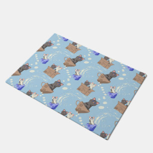 Cats in box and milk drops on blue doormat