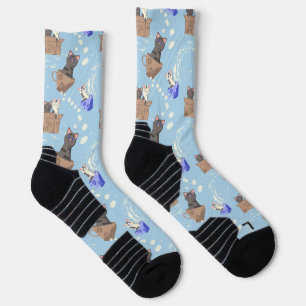 Cats in box and milk drops on blue socks