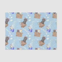 Cats in box and milk drops on blue