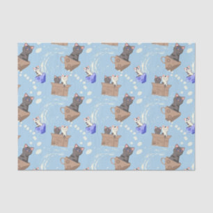 Cats in box and milk drops on blue tissue paper