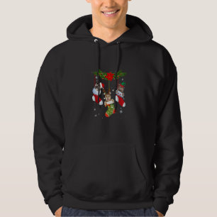 Cats In Christmas Sock Funny Pajamas Family Cat Lo Hoodie