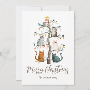 Cats in Christmas Tree Christmas Holiday Card