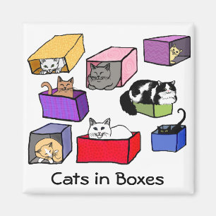 Cats in Colourful Boxes Magnet