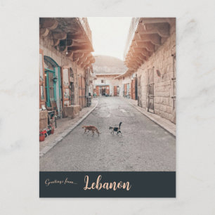 Cats in Douma Lebanon Postcard