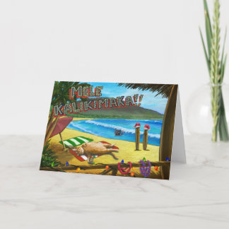 Cats in Hawaii for Christmas Holiday Card