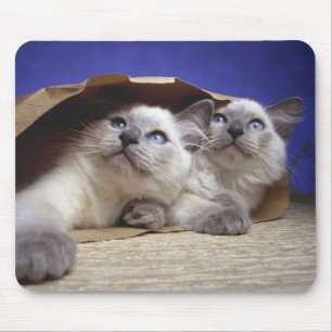 Cats in paper bag mouse mat