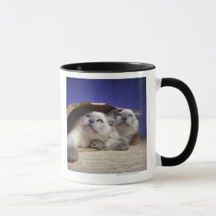 Cats in paper bag mug