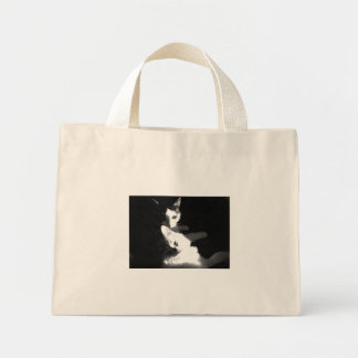 Cats in the Bag