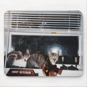 Cats in the Kitchen Window Mouse Mat