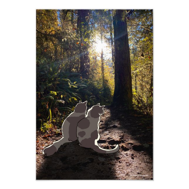 Cats in the Oregon woods Photo Print (Front)