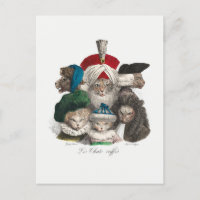 Cats in Wigs and Hats Silly Illustration