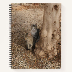 CATS IN WOODLAND NOTEBOOK