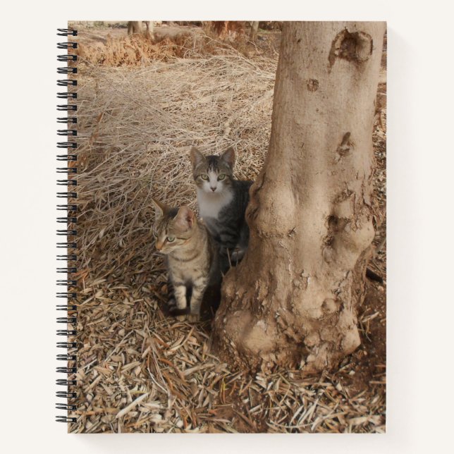 CATS IN WOODLAND NOTEBOOK (Front)