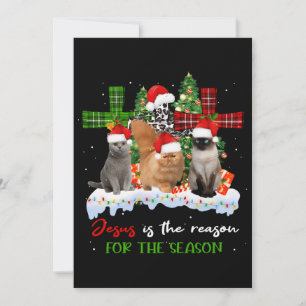 Cats Jesus Is Reason For The Season Christmas Ugly Invitation