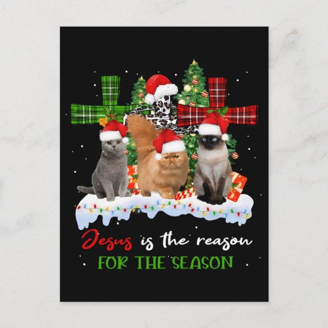 Cats Jesus Is Reason For The Season Christmas Ugly Postcard (Front)