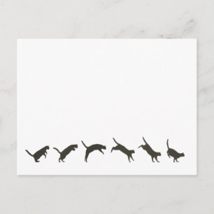 Cats Jumping Postcard