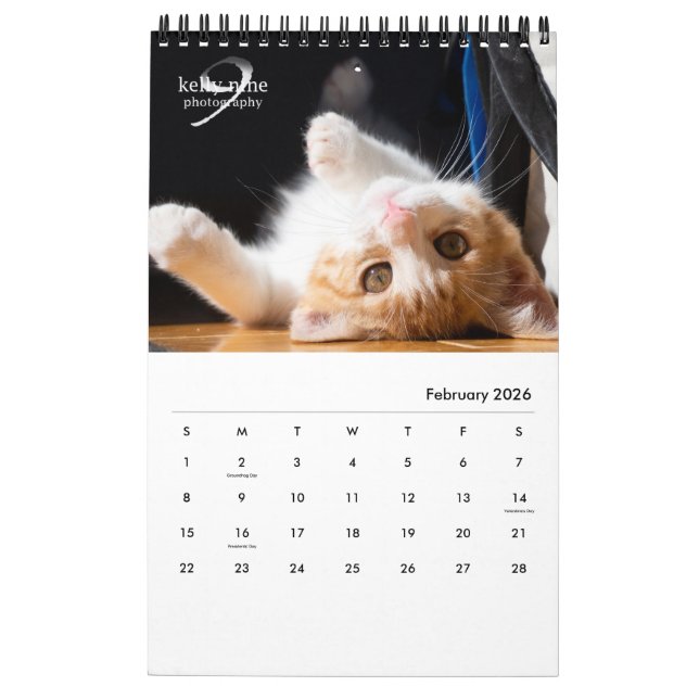 Cats & Kittens by Kelly Nine Photography Calendar (Feb 2026)