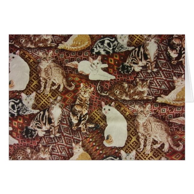 Cats & Kitties (Front Horizontal)