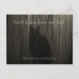 Cats Know How We Feel Postcard
