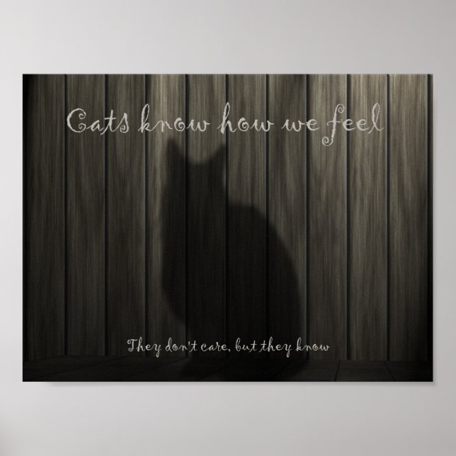 Cats Know how we Feel Poster (Front)