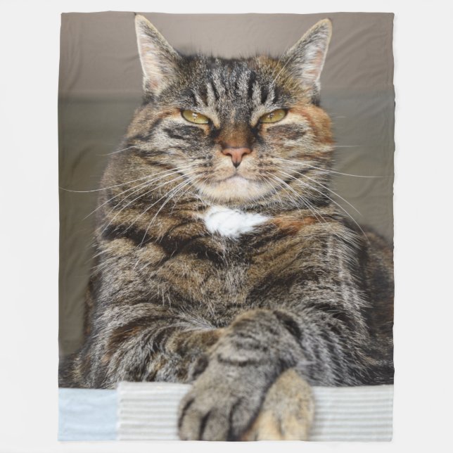 CATS KNOW THEY RULE FLEECE BLANKET (Front)