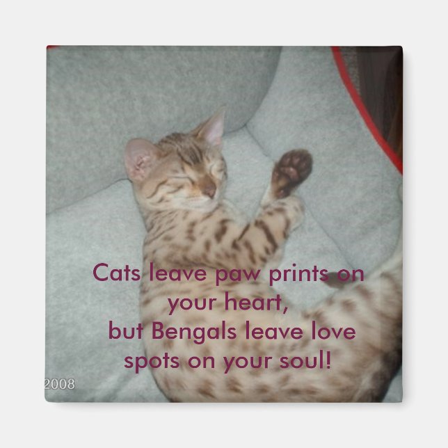 Cats leave paw prints on your heart, but... magnet (Front)