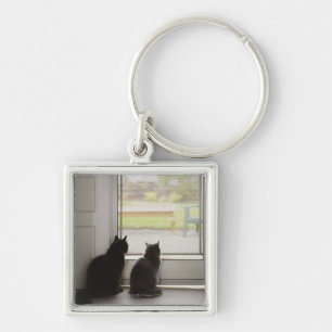 Cats looking out screen door key ring