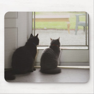 Cats looking out screen door mouse mat