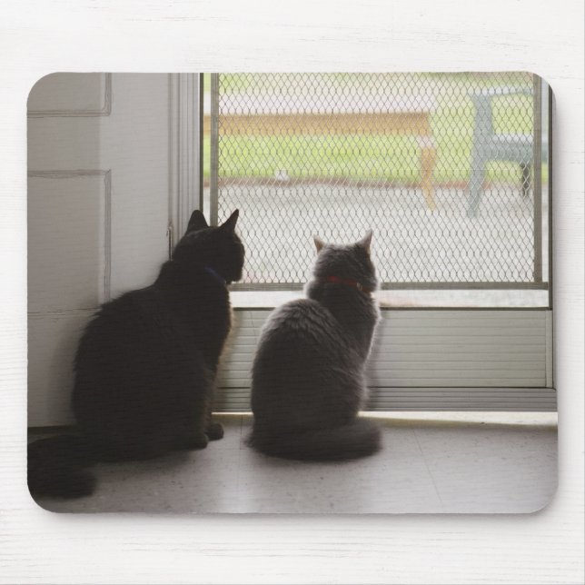 Cats looking out screen door mouse mat (Front)