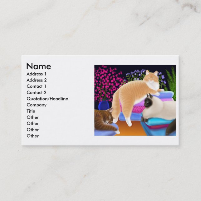 Cats Love Fresh Laundry Profile Card (Front)