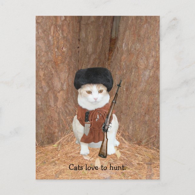 Cats love to hunt. postcard (Front)