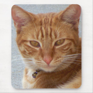 Cat's Lover_ Mouse Mat