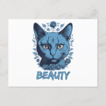 cats lovers beauty of cats