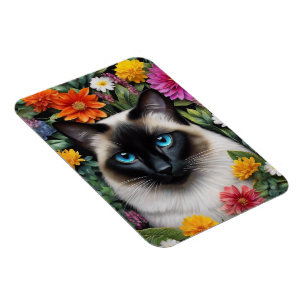 Cats Magnet