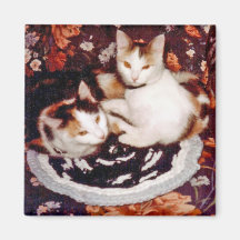 Cats Magnet