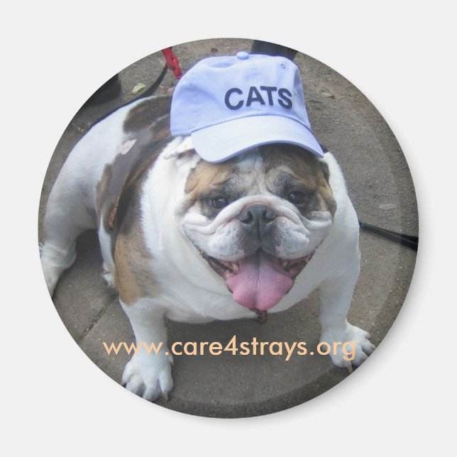 CATS Magnet: Magnet (Front)