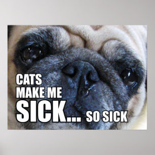 CATS MAKE ME SICK... SO SICK ALLERGY MEME POSTER