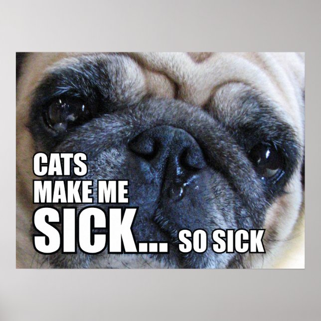 CATS MAKE ME SICK... SO SICK | ALLERGY MEME POSTER (Front)