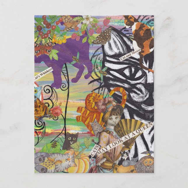 Cats May Look at a Queen Postcard (Front)