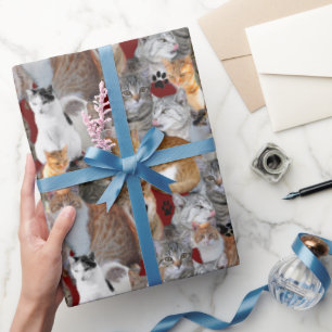 Cats meeting point wrapping paper
